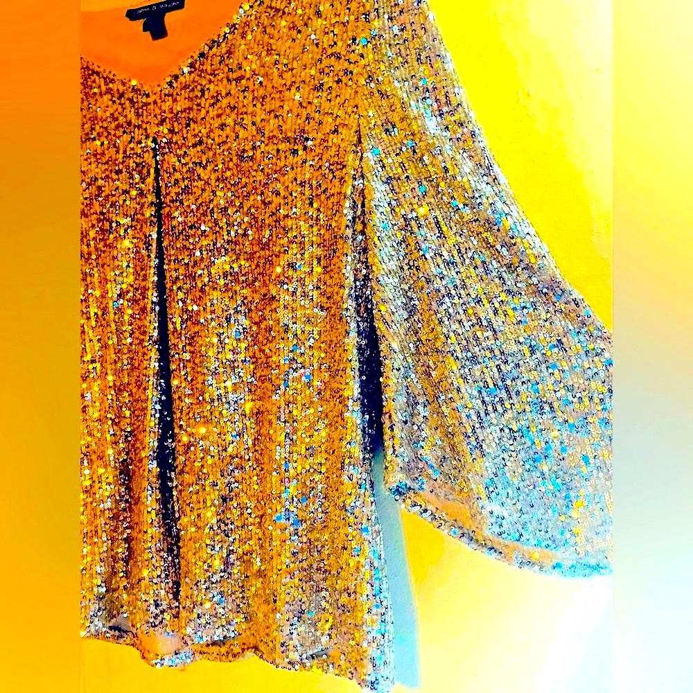 Cable & Gauge Silver Sequins Covered Top with Liner, Size Large